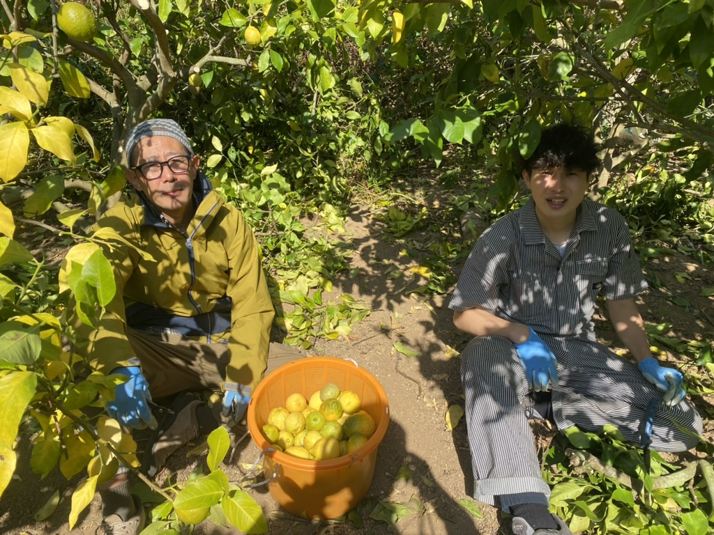 収穫したレモンを囲んで畑で休む二人